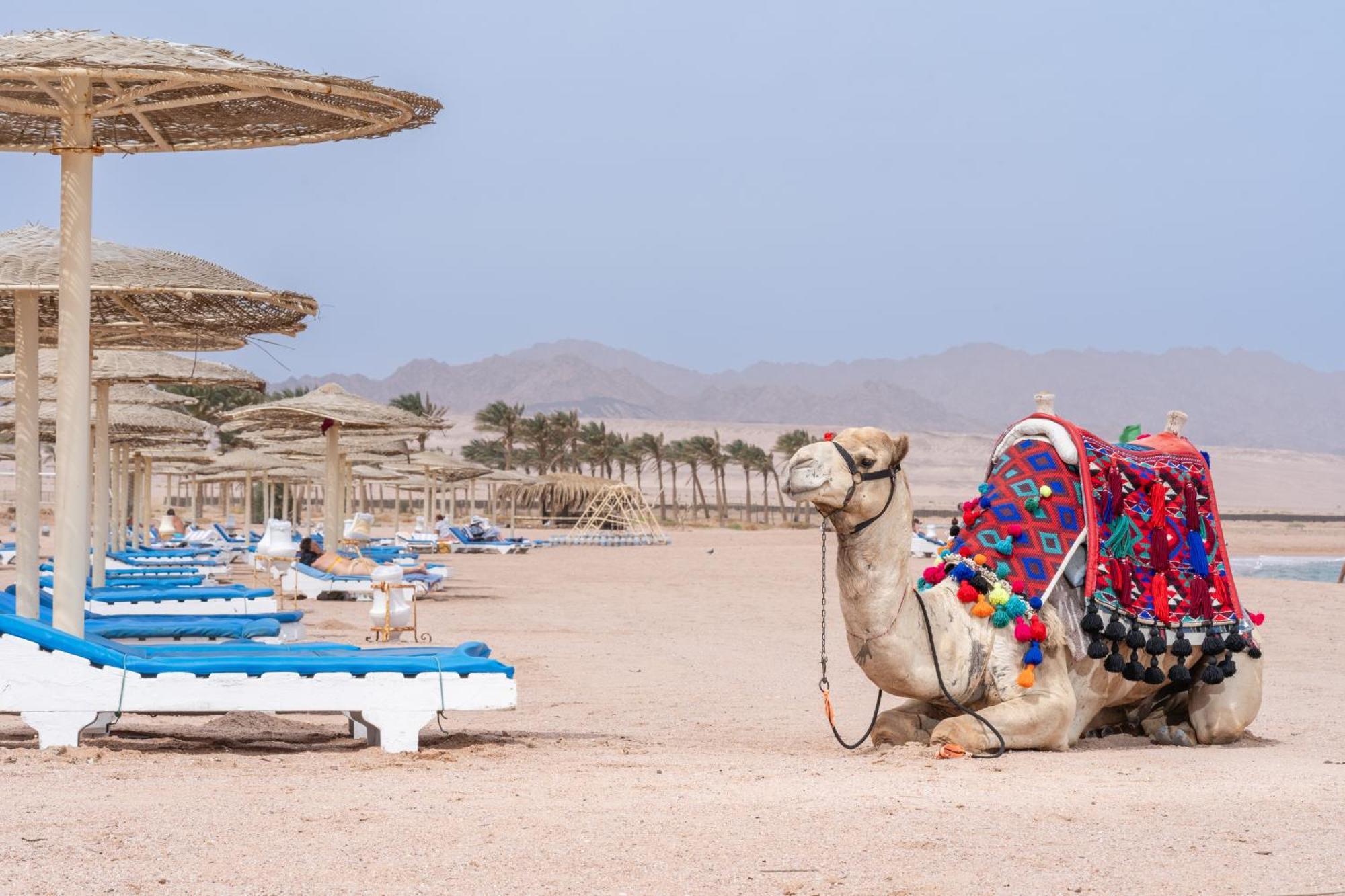 Faraana Heights Aqua Park Hotel Sharm el-Sheikh Eksteriør billede